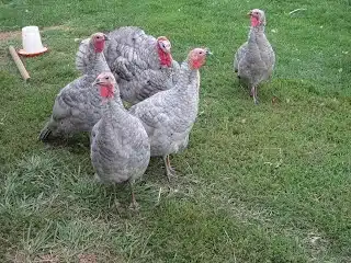 Learning on the Job at Solstice Sun Farm